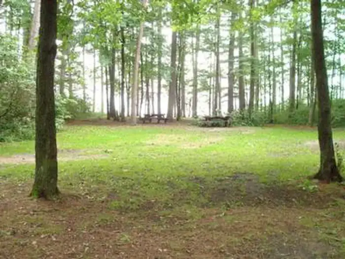 Camping near COE Leech Lake Reservoir Leech Lake Recreation Area: Winnie Campground, Cass Lake, Minnesota
