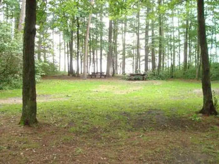 Camper submitted image from Winnie Campground - 1