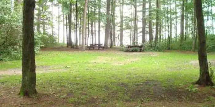 Camper submitted image from Winnie Campground