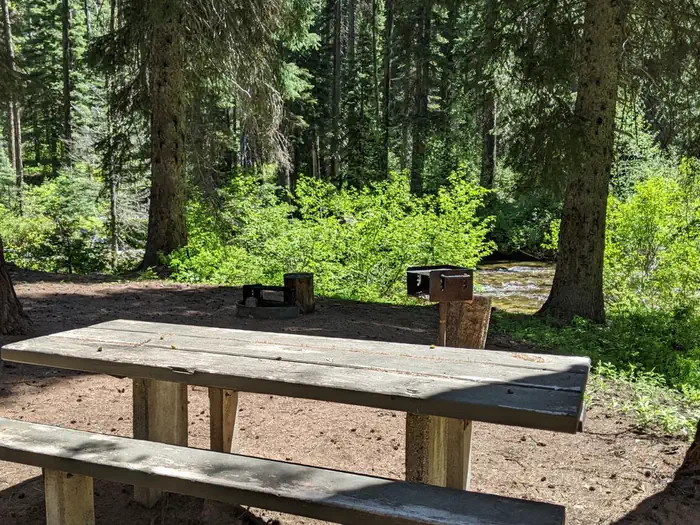 Camper-submitted photo at Lake Fork near New Meadows, ID