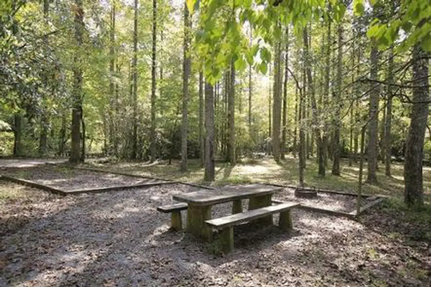 Camper-submitted photo at North Mills River near Canton, NC