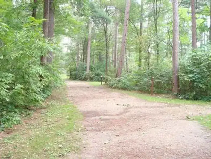 Camper-submitted photo at Winnie Campground near Chippewa National Forest