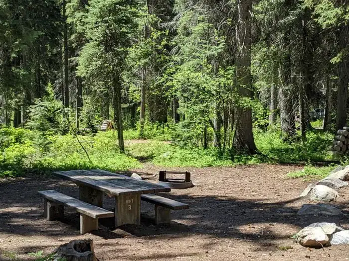 Camper-submitted photo at Lake Fork near New Meadows, ID