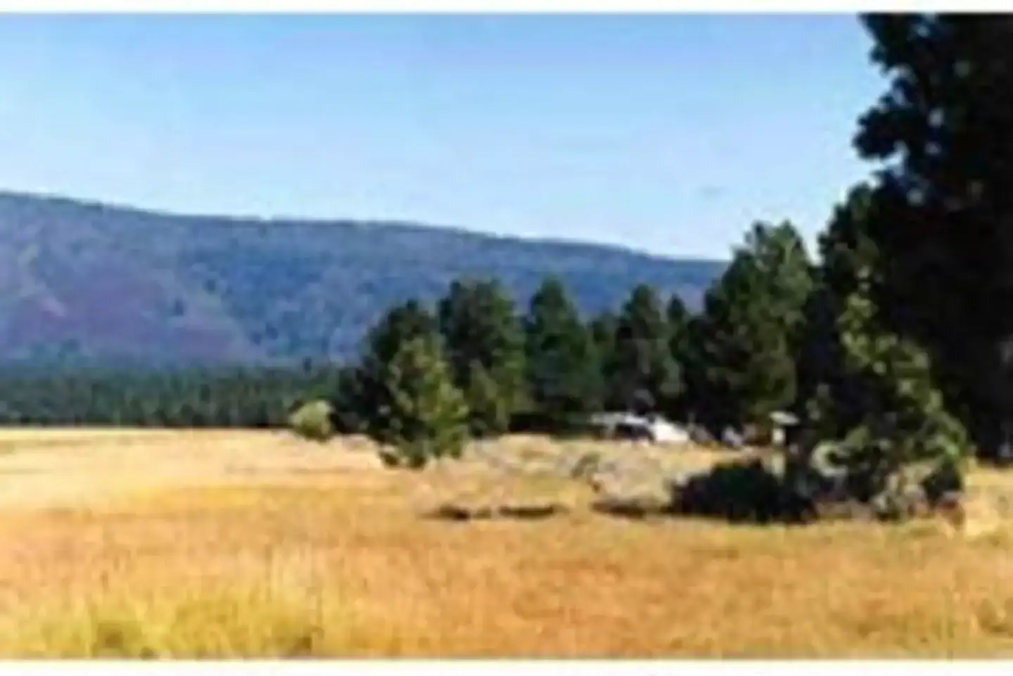 Camper-submitted photo at Merrill Campground near Cassel, CA