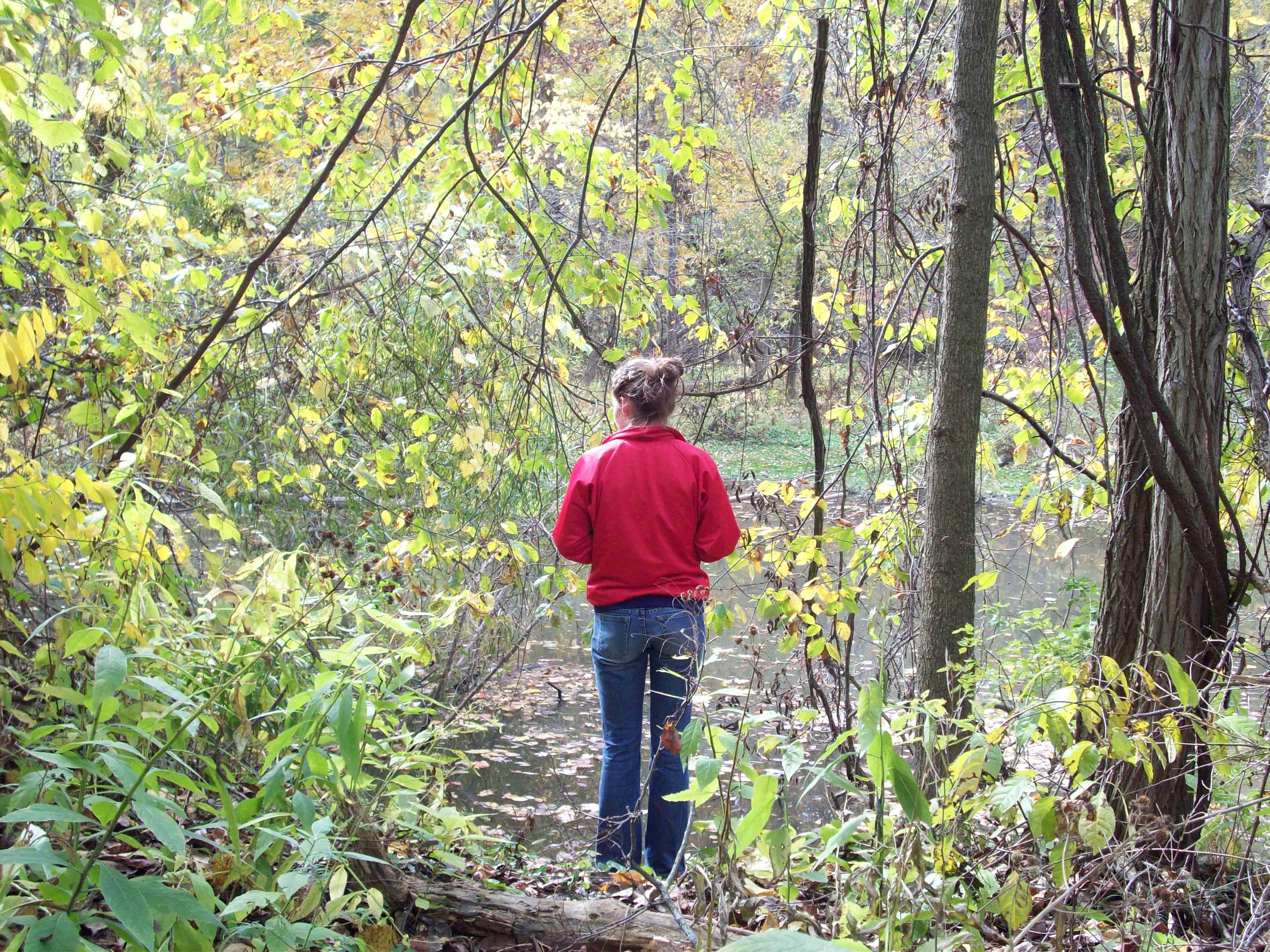 Camper submitted image from Findley State Park Campground - 3