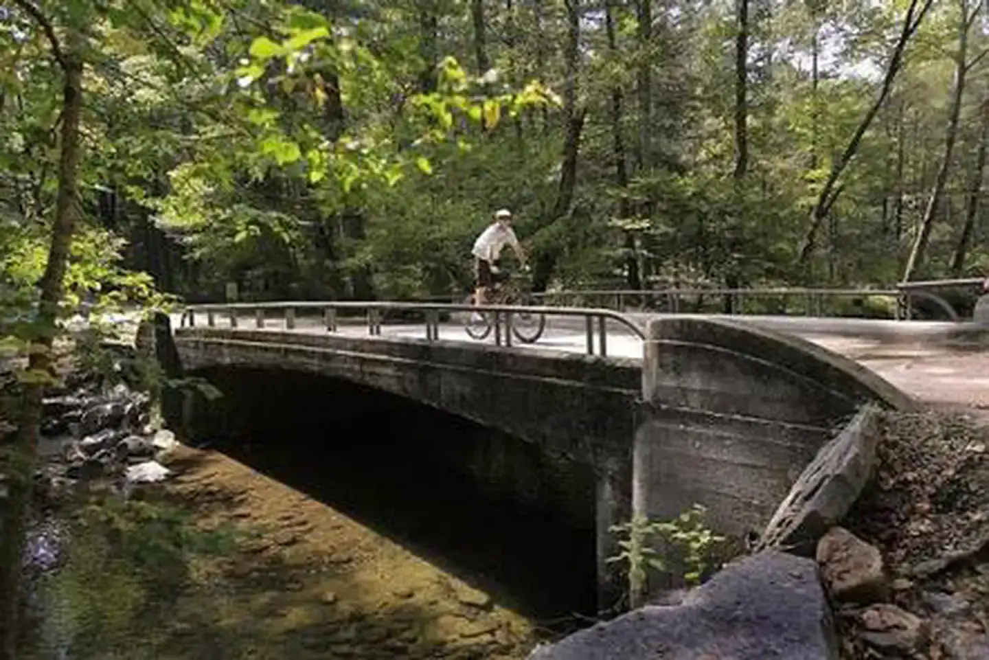 Camper-submitted photo at North Mills River near Canton, NC