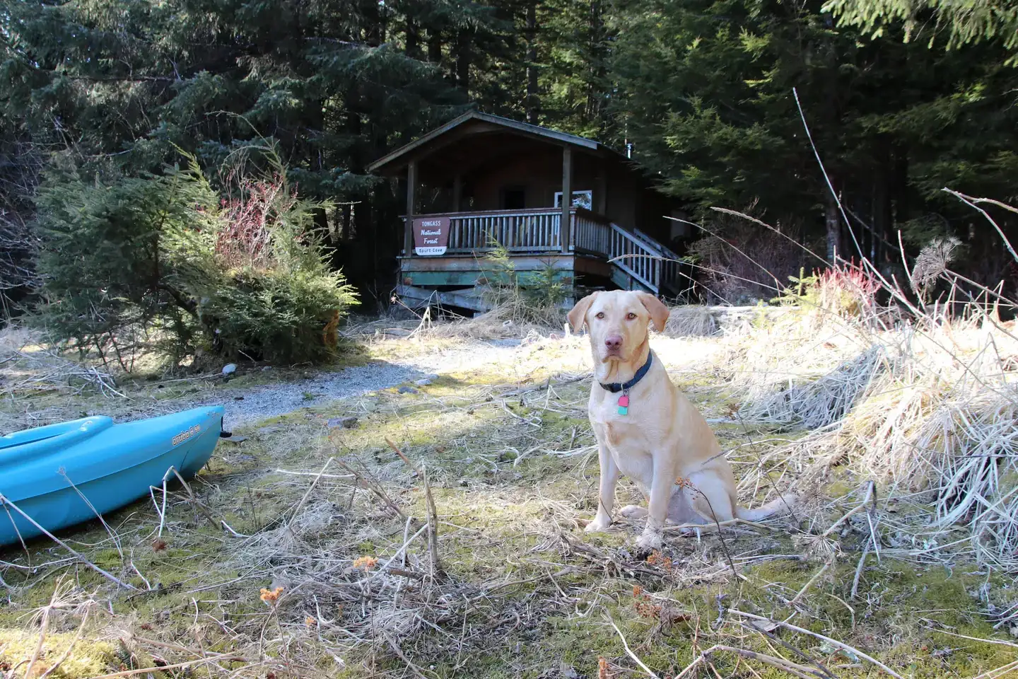 Camper-submitted photo at Spurt Cove Cabin near Tongass National Forest