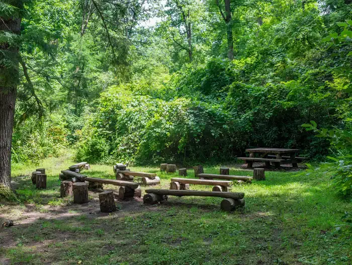 Camper-submitted photo at North Mills River near Canton, NC
