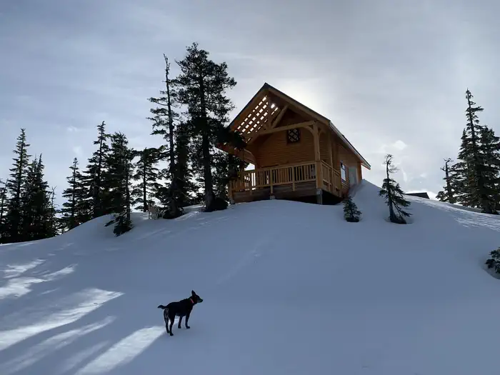 Camper-submitted photo at Ravens Roost Cabin near Kupreanof, AK