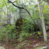 Review photo of Tishomingo State Park Campground by Edward R., August 28, 2019