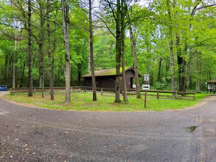 Camper submitted image from Pines Point Campground - 1