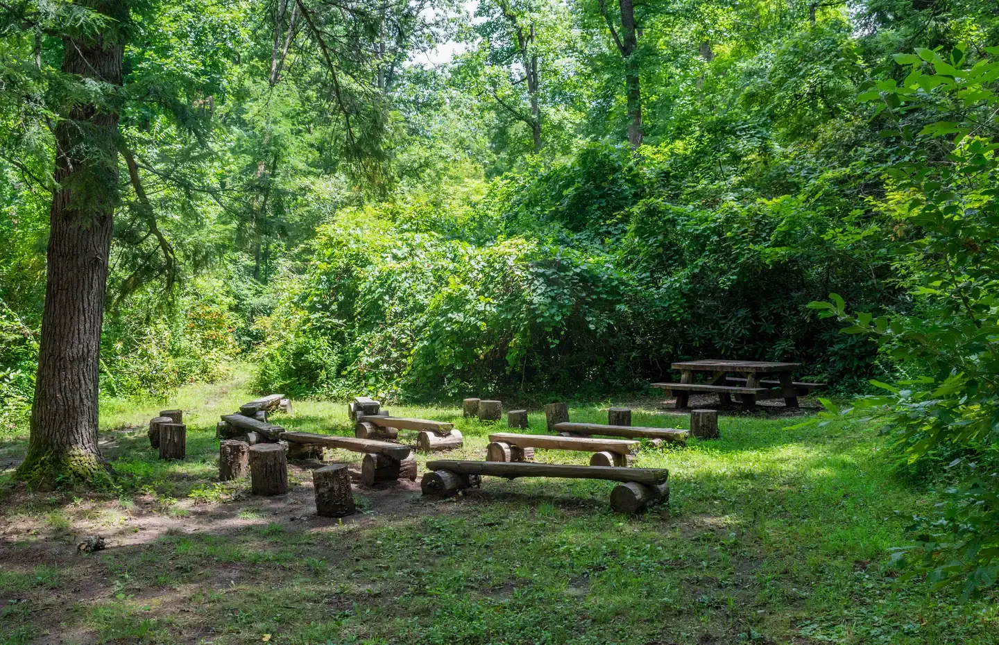 Camper-submitted photo at North Mills River near Canton, NC