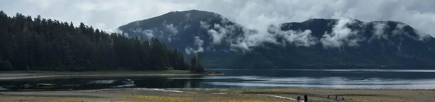 Camper submitted image from Allan Point Cabin - 1