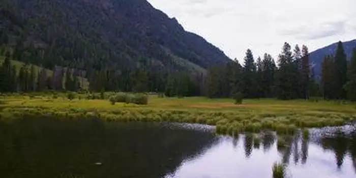 Camper submitted image from Beaver Creek Campground