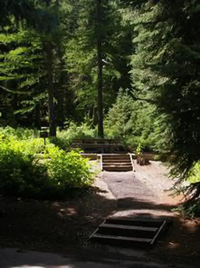 Camper-submitted photo at Spruces - Big Cottonwood near Bingham Canyon, UT