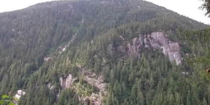 Camper submitted image from Wilson View Cabin