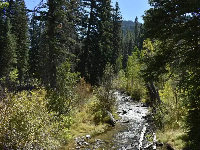 Camper-submitted photo at Spruces - Big Cottonwood near Bingham Canyon, UT