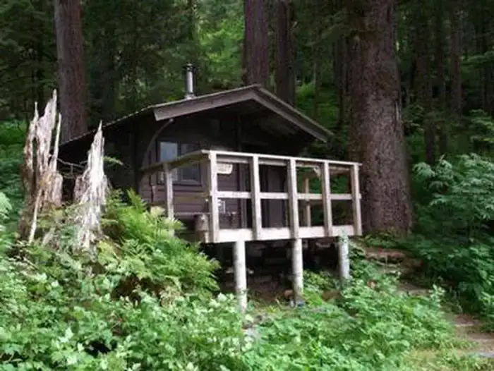 Camper-submitted photo at Wilson View Cabin near Hyder, AK