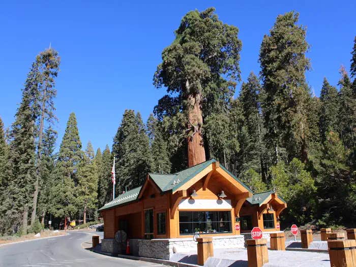 Camper submitted image from Grant Grove Cabins — Kings Canyon National Park - 1