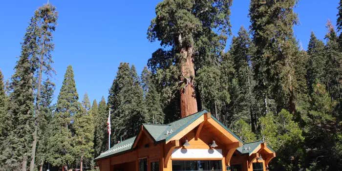 Camper submitted image from Grant Grove Cabins — Kings Canyon National Park