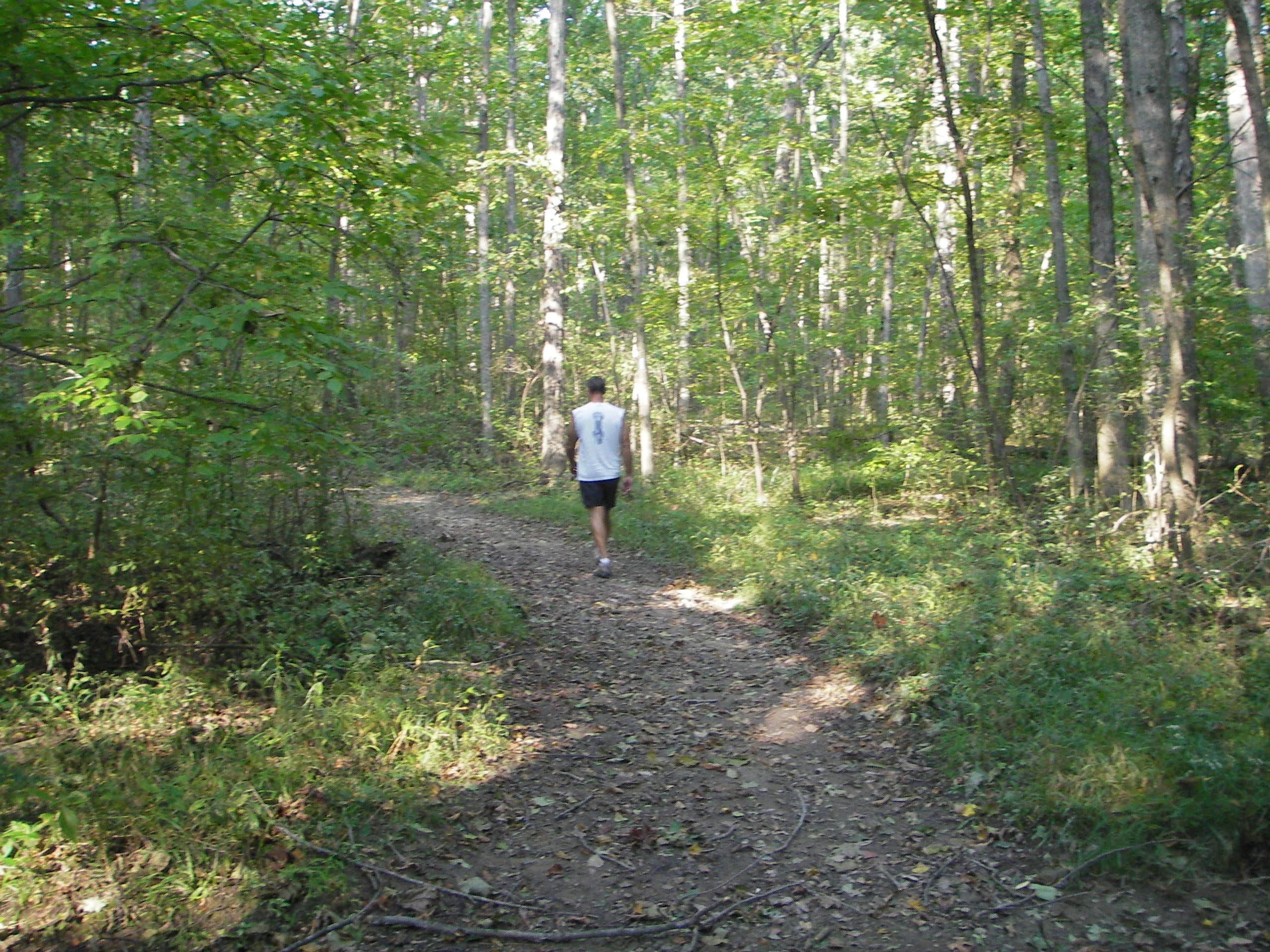 Camper submitted image from Findley State Park Campground - 2