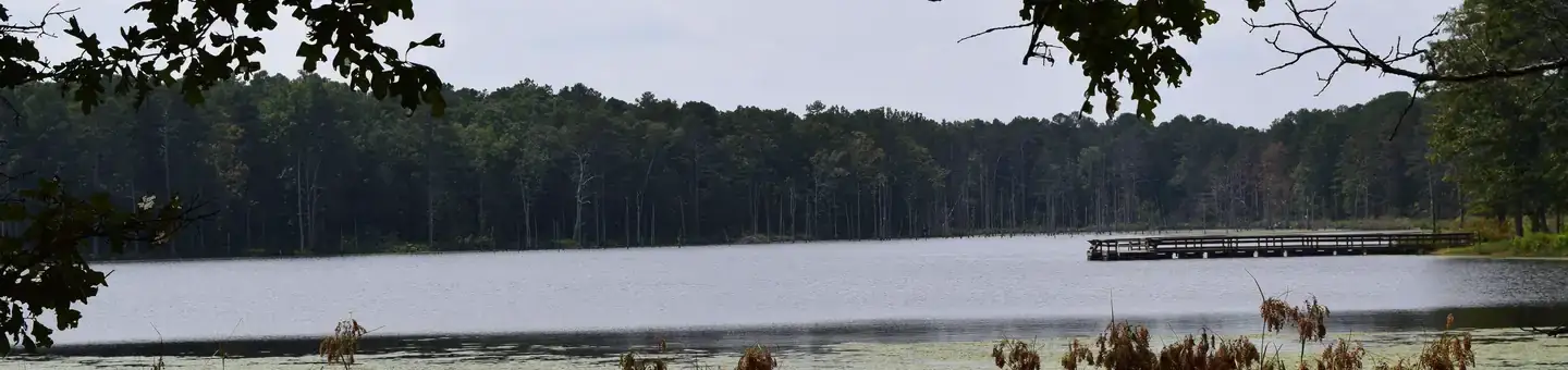 Camper-submitted photo at Pinewoods Lake Rec Area — Mark Twain National Forest near Poplar Bluff, MO