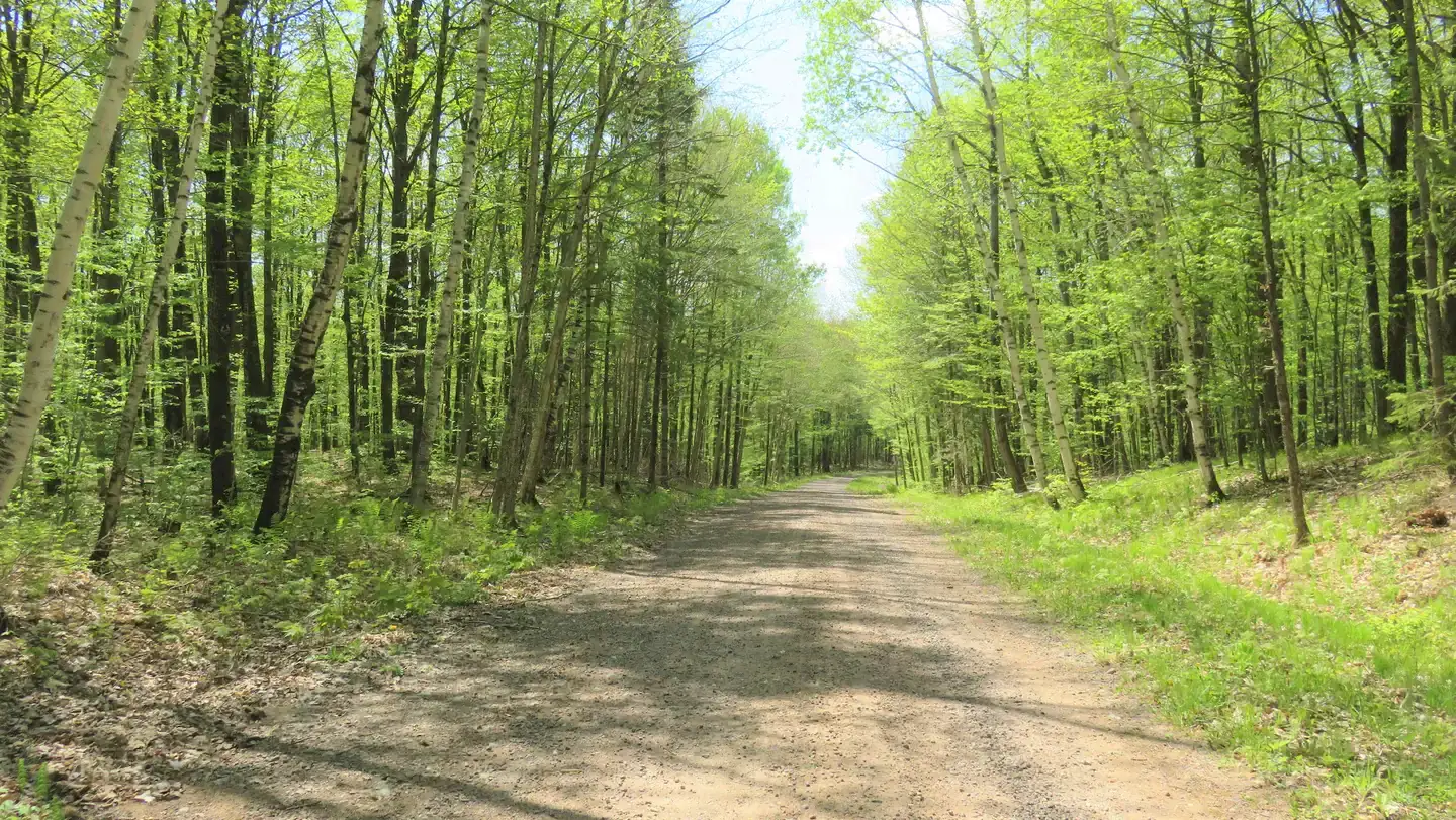 Camper-submitted photo at Eastwood NF Campground near Westboro, WI