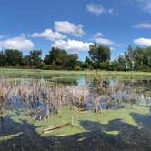 Review photo of Bay City State Park Campground by Brion T., August 28, 2019