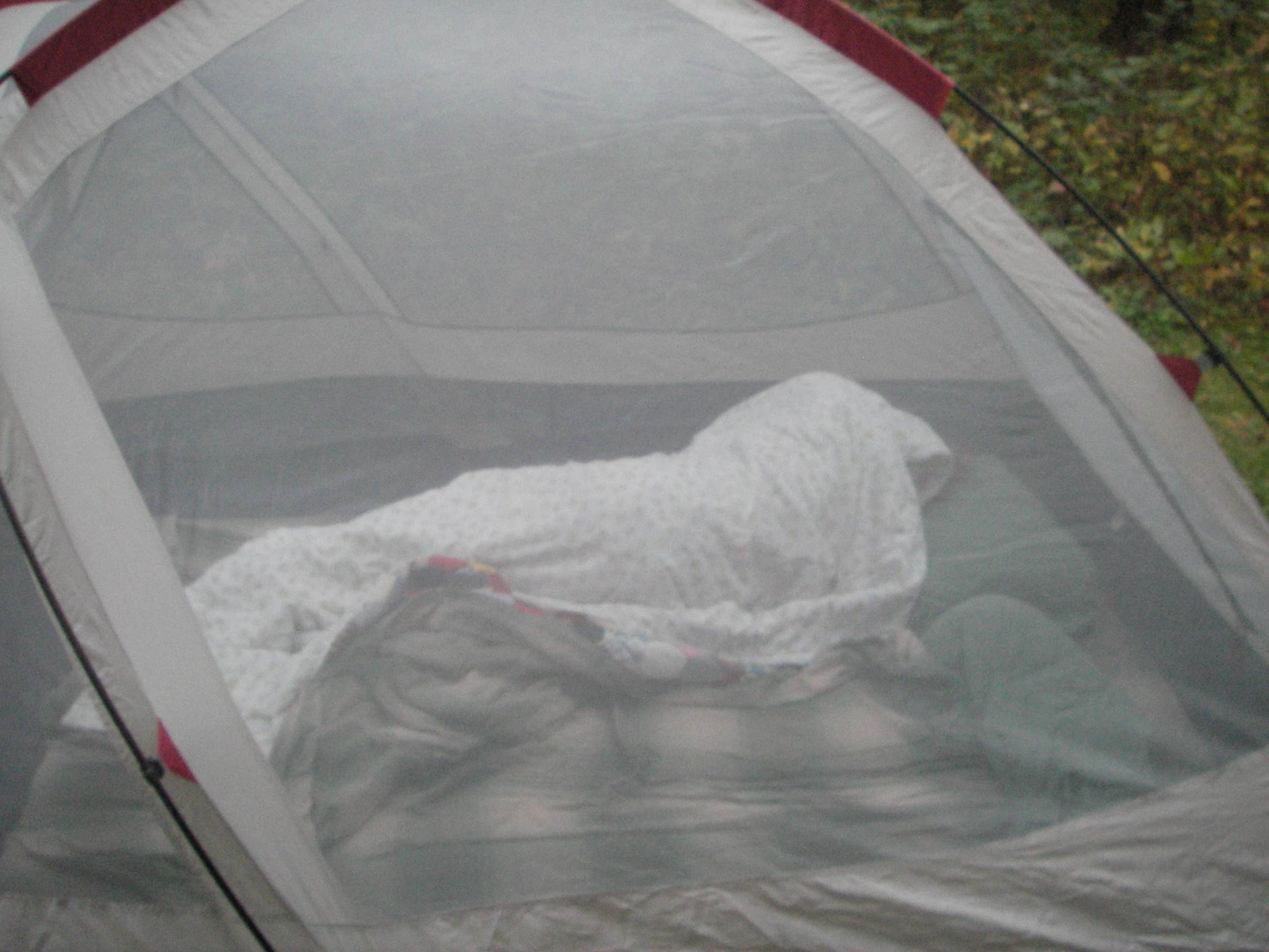 Camper submitted image from Findley State Park Campground - 3
