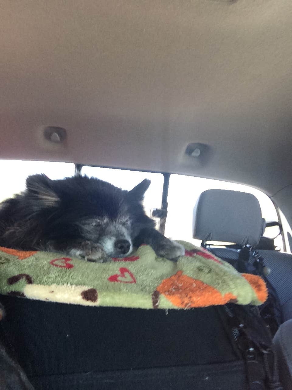 Camping near Paris Landing-Kentucky Lake KOA: Gatlin Point, Dover, Kentucky