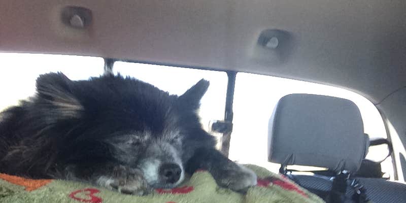 Camper submitted image from Gatlin Point