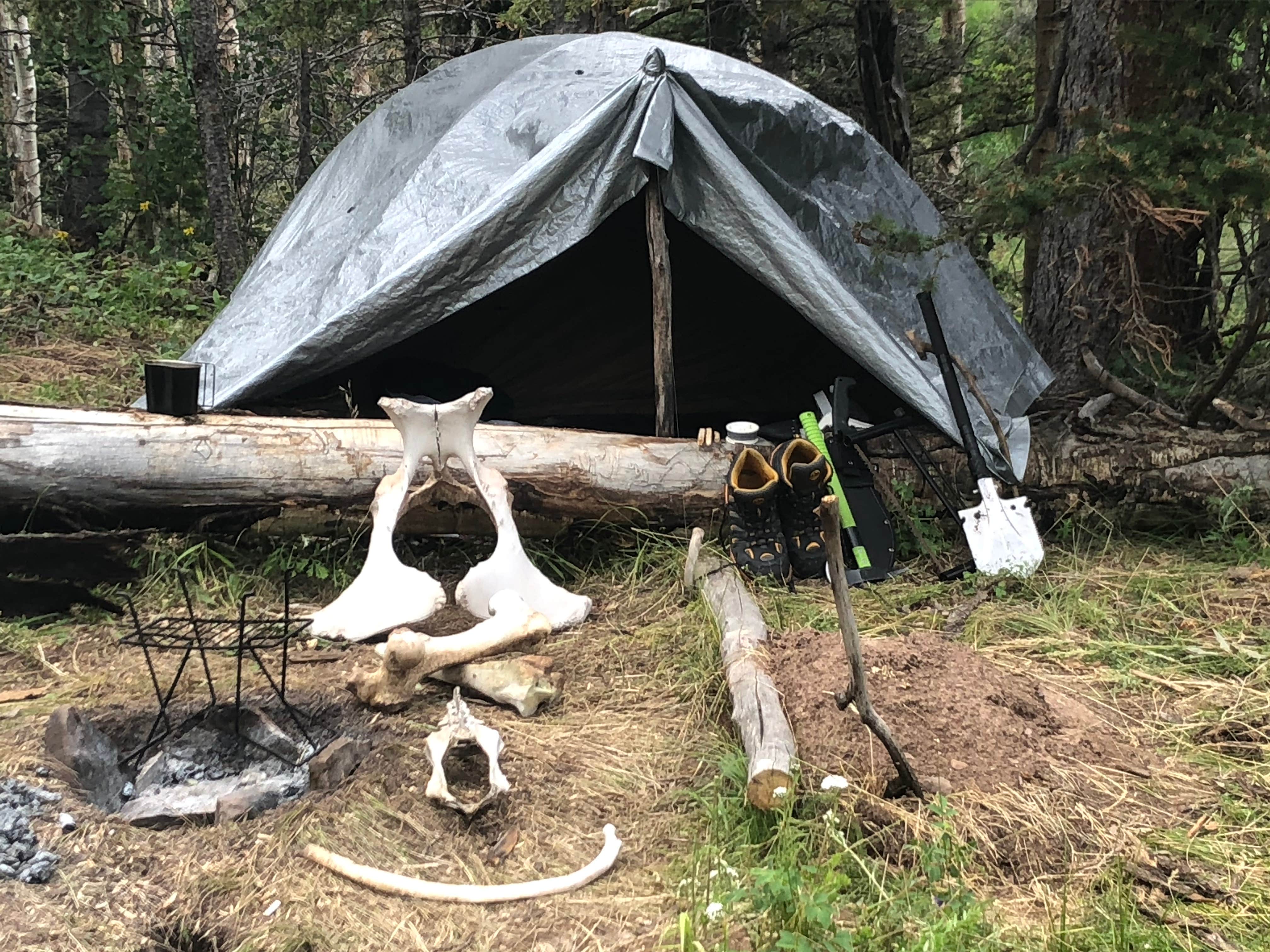 Ron  B.'s photo at Molly Brown Campground near Leadville, CO