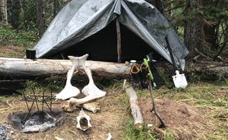 Ron B.'s photo at Molly Brown Campground near Climax, CO