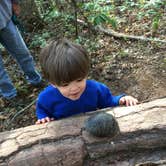 Review photo of Hard Labor Creek State Park Campground by Susan H., August 28, 2019