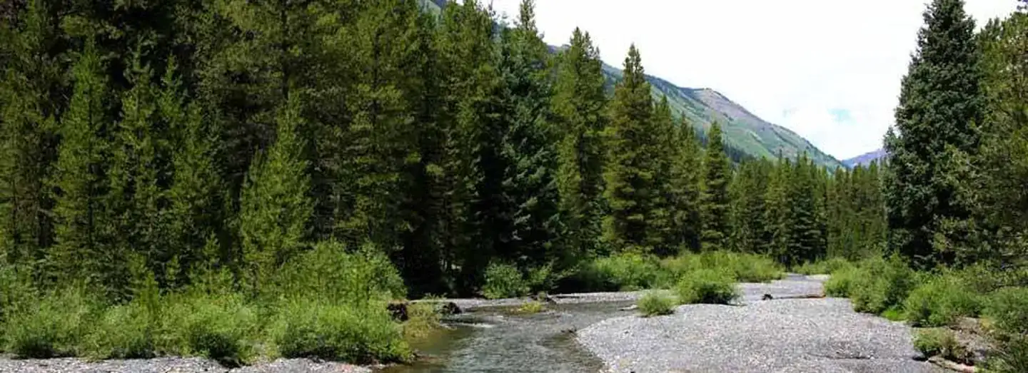 Camper-submitted photo at Oh Be Joyful Campground near Crested Butte, CO