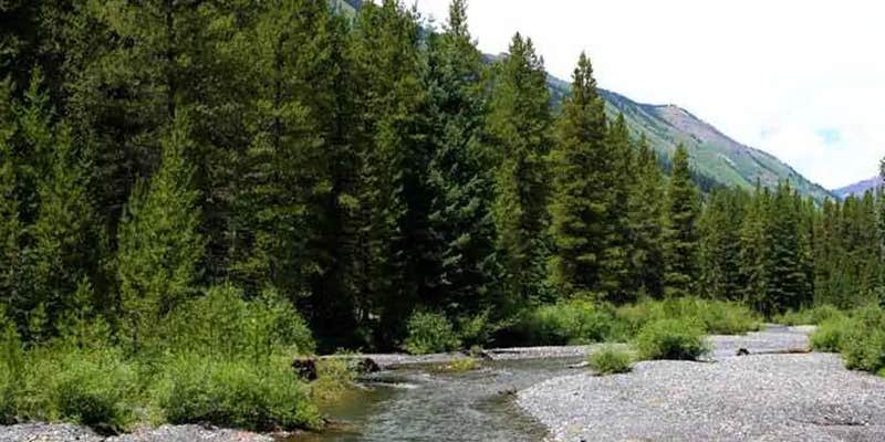 Camper submitted image from Oh Be Joyful Campground