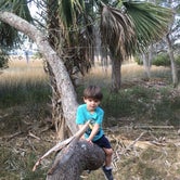 Review photo of Skidaway Island State Park Campground by Susan H., August 28, 2019