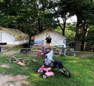 Camper-submitted photo from Yogi Bear's Jellystone Park at Pigeon Forge