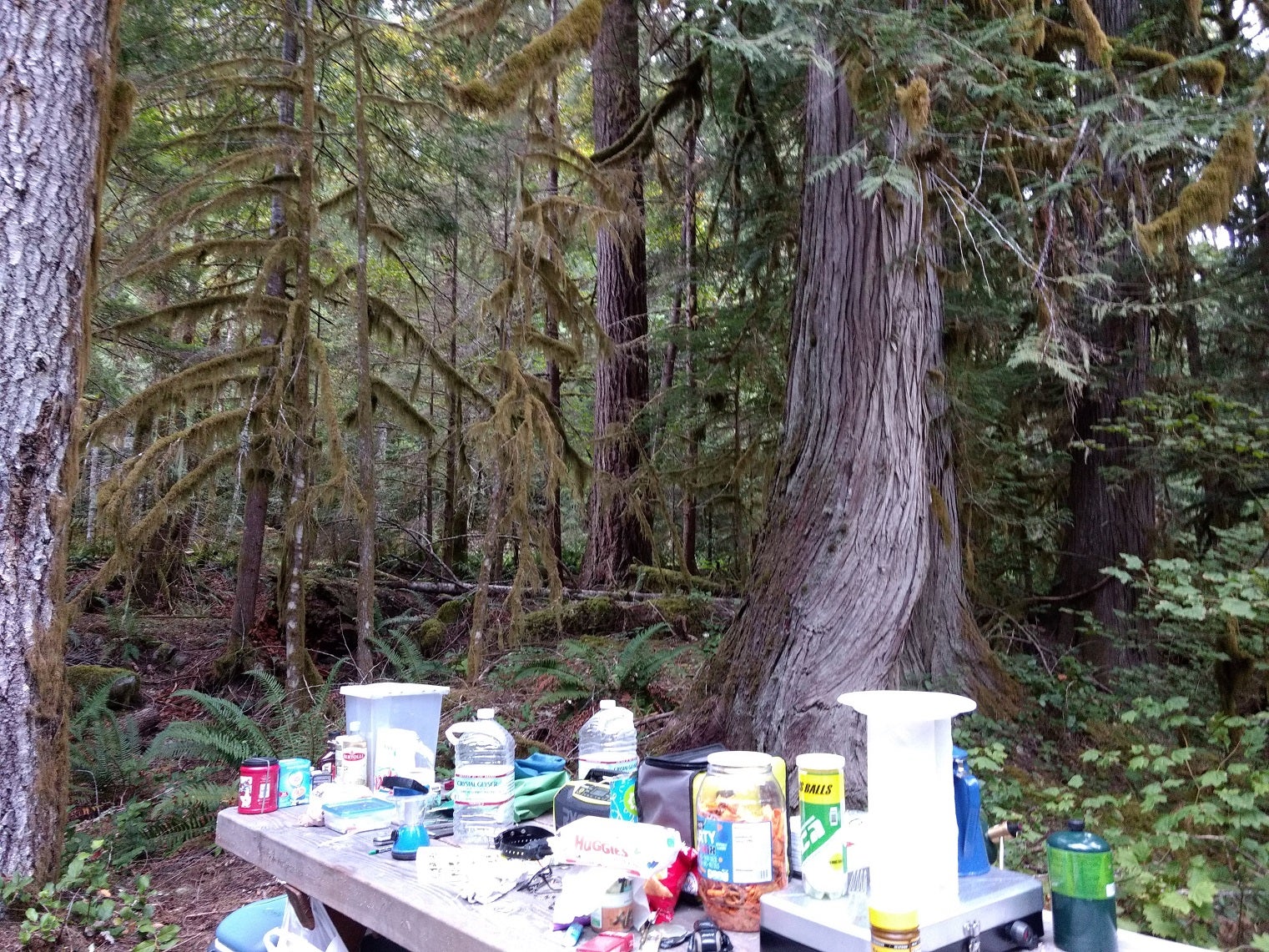 Camper submitted image from Sulphur Creek Campground - 5