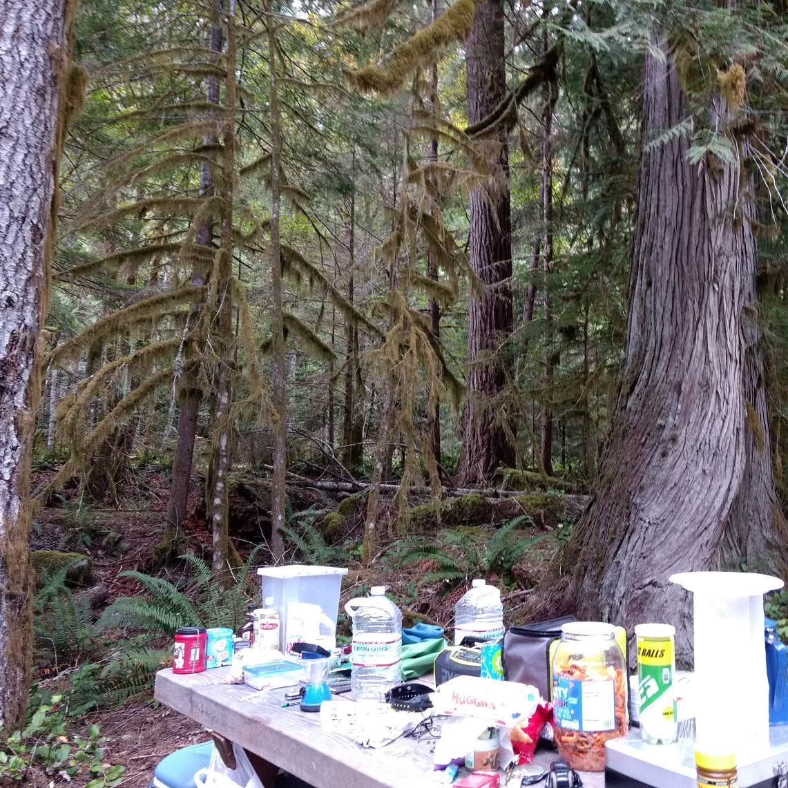 Sulphur Creek Campground Camping The Dyrt