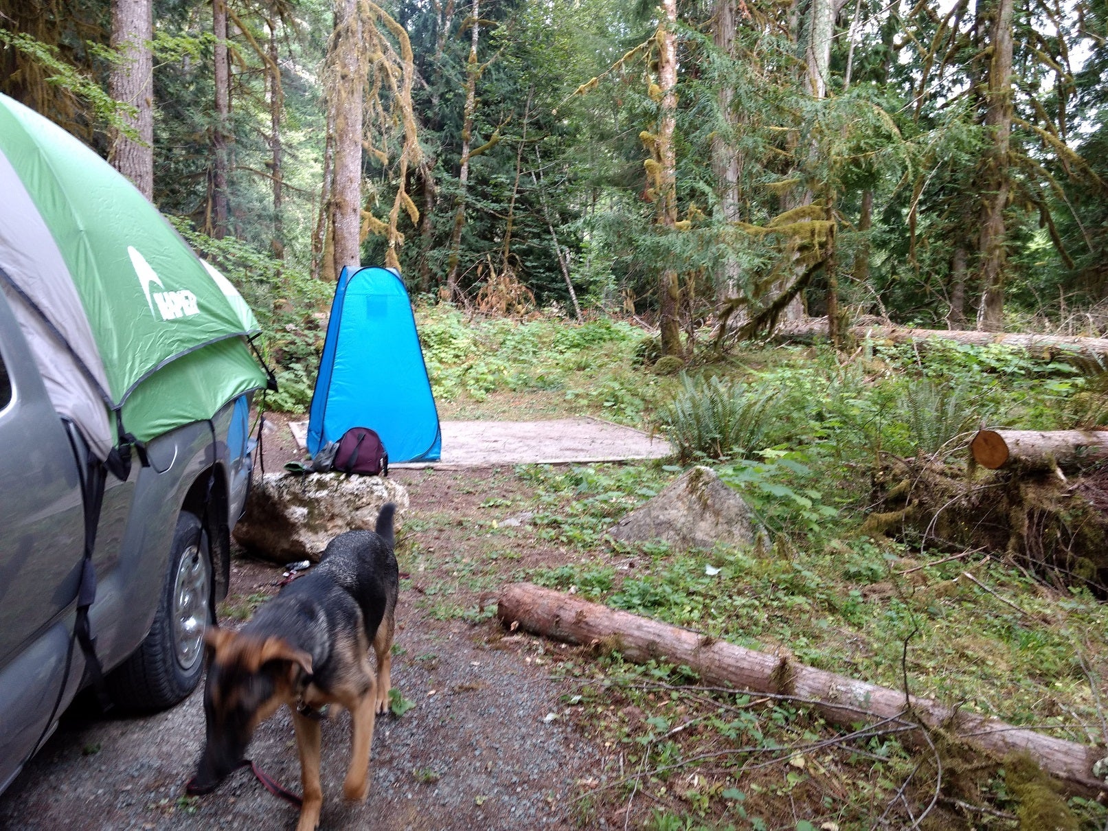 Camper submitted image from Sulphur Creek Campground - 4