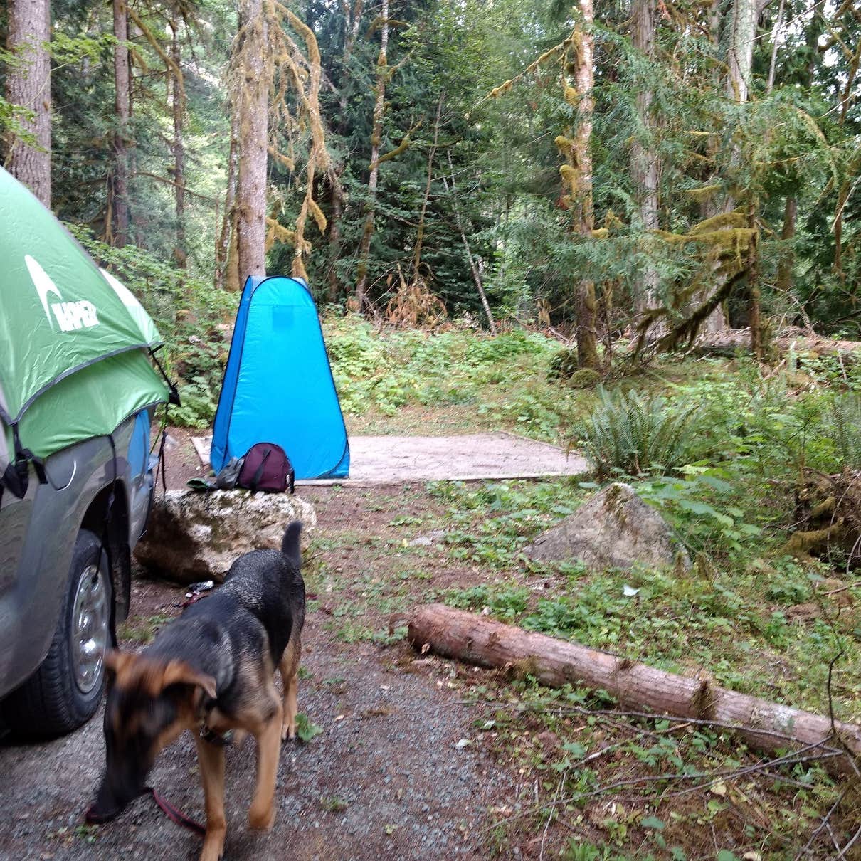 Sulphur Creek Campground Camping The Dyrt