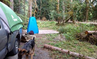 Pam F.'s photo of camping with pets at Sulphur Creek Campground near Mt. Baker-Snoqualmie National Forest