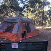 Review photo of Mather Campground — Grand Canyon National Park by Lily R., August 28, 2019