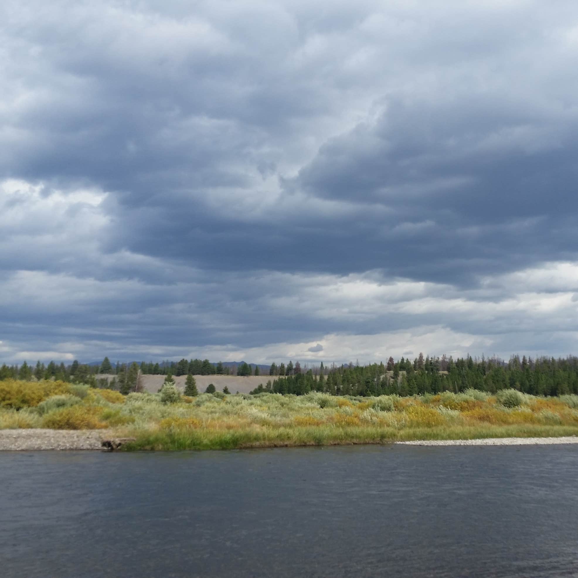 Bakers Hole Campground Camping The Dyrt