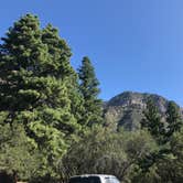 Review photo of Oak Grove Campground by Tyler B., August 28, 2019