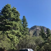 Review photo of Oak Grove Campground by Tyler B., August 28, 2019