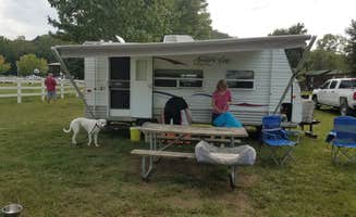 Terry P.'s photo of camping with pets at Bass' River Resort near Wappapello Lake