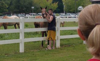 Terry  P.'s photo of camping with a horse at Bass' River Resort near Hillsboro, MO