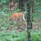 Review photo of Monte Sano State Park Campground by Mark C., August 28, 2019